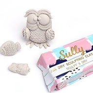 500g Baking free & Air dry pottery clay Air dry Sculpting Clay 免烤风干陶泥塑形DIY