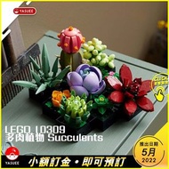 [現貨] LEGO Creator Expert  10309 Succulents