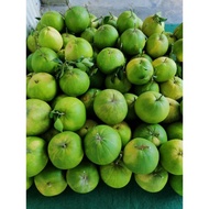 ✈Limau Bali Tambun Pomelo Fruit（manis)甜柚子