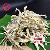 IM004 - Ikan Masin Rumi | Salted Fish | 西丁鱼咸鱼干【1KG】