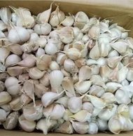 Bawang Putih Kating Segar Bos 1 kg bawang putih potekan kemasan 1 kg