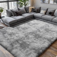Shag Area Rugs for Bedroom Living Room,Ultra Soft Fluffy Area Rugs for Dorm, Indoor Carpet Nursery R