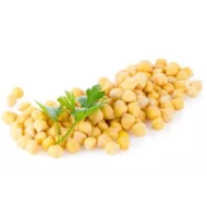 dwarf CHICK PEA SEED (Cicer arietinum)