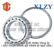 XLZY Bearing 32009 32912 30203 31308 32907 32015 30204 33007 32210 32213 30207 32913 30310 32005 302