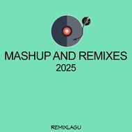 DJ Mashup and Remix 2025 - Total 500 DJ Songs