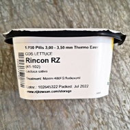 RINCON RZ COS LETTUCE SEEDS (1000 PILLS) by RIJK ZWAAN