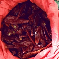 HOT ITEM cili gemuk 1kg/cili kering tak pedas/cili kering tidak pedas/lada buah besar/