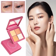 Iwawa Concealer Plate Highlight Contour High Coverage Colors Cover Plate 4 Lightweight E7q7