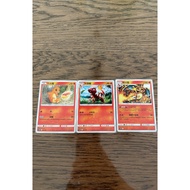 宝可梦 PTCG Pokemon 中文版 一组喷火龙《现货》