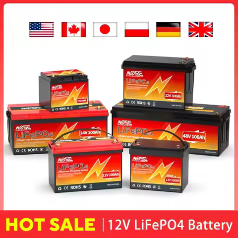 6Ah 10Ah 12Ah 20Ah 30Ah 12V 100Ah LiFePO4 Battery Pack BMS 200Ah 300Ah Lithium Iron Phosphate Rechar