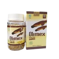 Olimex kapsul minyak ikan gabus albumin Murah