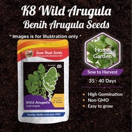 [1g] K8 Benih Salad Rocket Wild Arugula Soon Huat Seeds