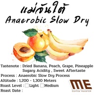 เมล็ดกาแฟ แม่จันใต้ Anaerobic Slow dry process