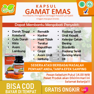 GAMAT EMAS KAPSUL untuk Mengobati Diabetes Jantung Kolesterol Rematik Ginjal Kista Asam Lambung Meng