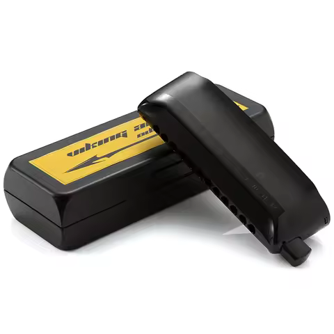 Professional Playing12 Hole 48 Tone Chromatic Harmonica Odin-12 Best Choose For Beginner Better Than