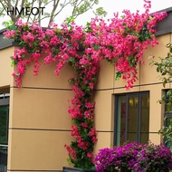 Artificial Flower Rattan Tree Vine Bougainvillea Floral Wall Plants Tree Wedding Christams Party