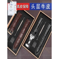 Suitable for Original Strap Tianwang Rossini Male Watch Strap Western Iron City Seagull Casio Female