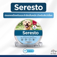 Seresto Collar 🐶🐱 ปลอกคอช่วยกำจัดเห็บหมัดสำหรับสุนัขและแมว กันน้ำ อายุการใช้งานสูงสุด 8 เดือน