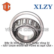 XLZY Bearing 31305 32909 30306 32204 30303 32209 32010 32914 30207 33007 30205 30304 32912 32211 323