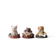(現貨) 盆栽裝飾 地底鑽出的小動物三件組 狗/貓/松鼠 微景觀擺飾