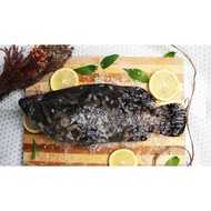 Food Explorer - Hybrid Grouper