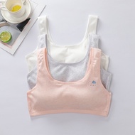 9-16 ปีสาววัยรุ่น Bra พร้อมผ้าฝ้ายกีฬา Bra Breathable การฝึกอบรมชุดชั้นในเด็กชุดชั้นใน