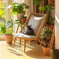ZIYE | Balcony Lounge Chair Rattan Single Nordic Recliner