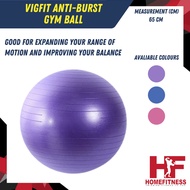 Vigfit Anti-Burst Gym Ball with Foot Pump