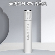 2025 Pembesar Suara Mikrofon Bersepadu Bluetooth Wayarles Rumah 2-dalam-1 Mikrofon Karaoke Mudah Ali