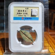 Pre-Qin Bone Coins Chinese Ancient Coins Collection Ancient Coins Collectibles Suitable for Collecti