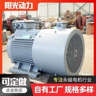 Bekalan Terus 15kw Penyongsang Magnet Kekal 5KW 8KW 10KW Penyongsang Nadir Bumi Motor Tanpa Berus