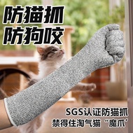 bite gloves, Cat scratch resistant paws, training, cat scratching prevention, pet grooming, nail tri