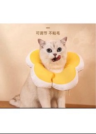 手術 絕育必備 伊利沙伯圈 頸圈 貓頸圈 防咬 防舔 cat cage 貓籠舒適動物頭罩 頭圈頭罩