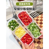 Scallion Ginger Garlic Dedicated Compartment Fresh-keeping Box Minced Garlic Minced Garlic Scallion 