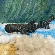 透明色手作陶 鯨鯊