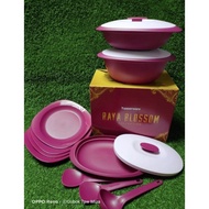 Raya Blossom Collection Set Tupperware