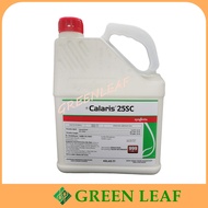 4L Calaris 25SC Racun Rumput Jagung Mesotrione