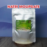 Sodium Molipdate Micronutrients (Sodium Molipden Na2MoO4·2H2O) 50g pack