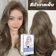 นำเข้าจากญี่ปุ่น STYLE FIT สีย้อมผม 200ml ไม่ต้องฟอกสีผม แถมชุดอุปกรณ์ย้อมผม ยาย้อมผม ครีมย้อมผม น้ำ