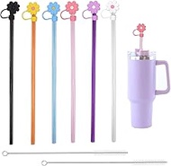 Pack of 6 straws for Stanley cup, 30 cm, reusable Stanley straw with cleaning brush, Stanley Quenche