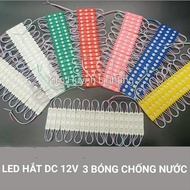 3-bulb Led 6011 DC 12V outdoor waterproof