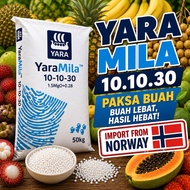baja YARAMILA 10.10.30 paksa buah bunga 🥭🍋