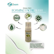 ZEAM Chayote Foaming Facial Wash - 100ml