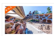 【泰國】清邁夜間動物園 (門票、遊園車、飯店集合點接送) | 清邁出發Chiang Mai Night Safari Park