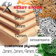 Multipurpose Plywood Timber Panel Papan Kayu 3mm/5mm/9mm/12mm Ready Stock