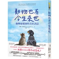 Animal Message (Karen Anderson Karen A Anderson) Stepping Stone Shopping Network