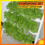 Set Hydroponic Auto 36 Holes C/w Water Pump Balcony Farm Planting Kit Hidroponik 36 Lubang + Pam Air