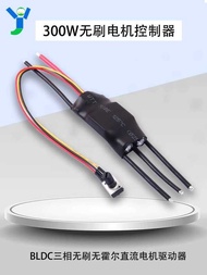 300W Three-Phase Brushless Hall-Free DC Motor Controller PLC High-Speed BLDC Air Pump Fan 12V 24V