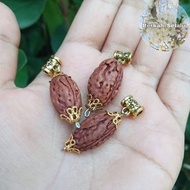 Jenitri PENDANT 3 LINES Rudraksha Mukhi 3 Blessings_Always