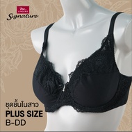 【WNSDUDJ】 Signature By Bsc Grade A Full Figure Bra, Full Breast Shape, Lace Decoration, No Padding, Reinforced Frame, Tight Fitting, Model CB5183